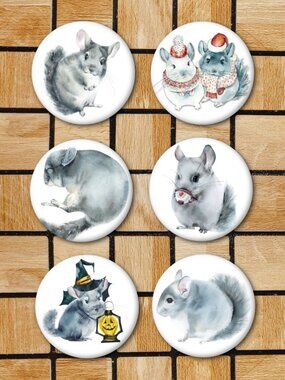 Chinchilla Fridge Magnets Set Of 6 Metal Magnets Home Office Kitchen School